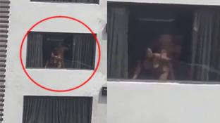 Video de sexo los dominicanos singando en el apartamento